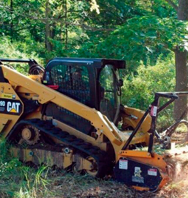 Lumberjacks Home https://mylumberjacks.com