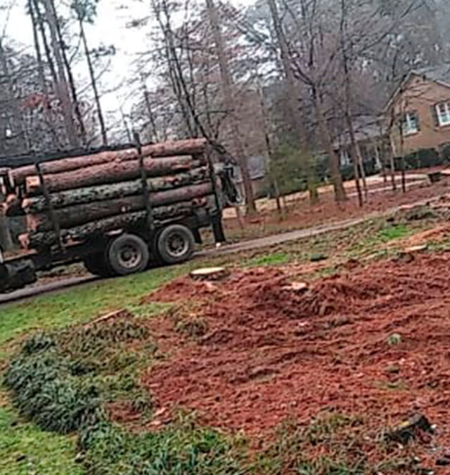 Lumberjacks Home https://mylumberjacks.com