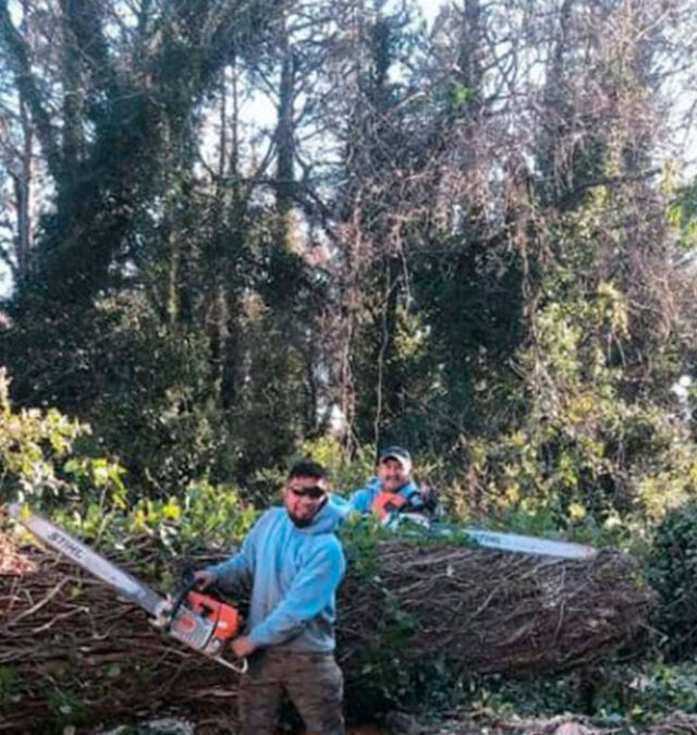 Lumberjacks Home https://mylumberjacks.com