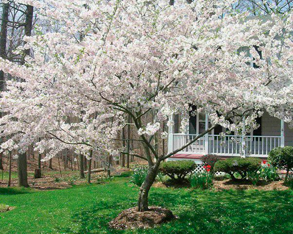 Lumberjacks You should know https://mylumberjacks.com