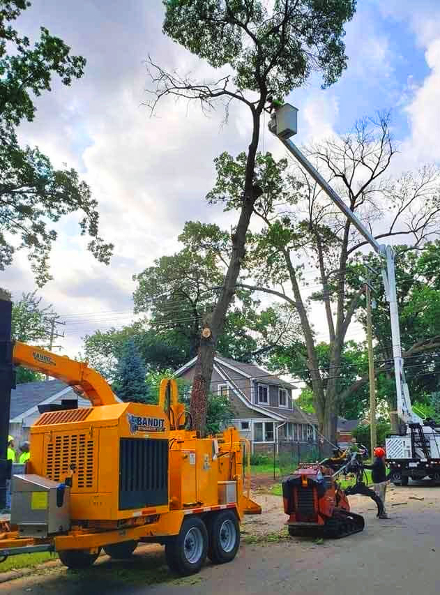 Lumberjacks About Us https://mylumberjacks.com