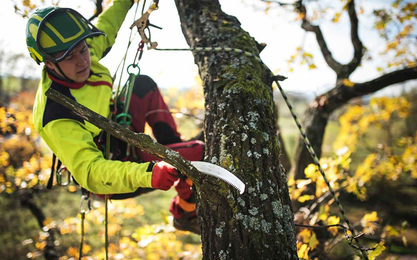 Do we charge for estimates?