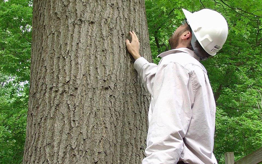 Why Hire Professionals?