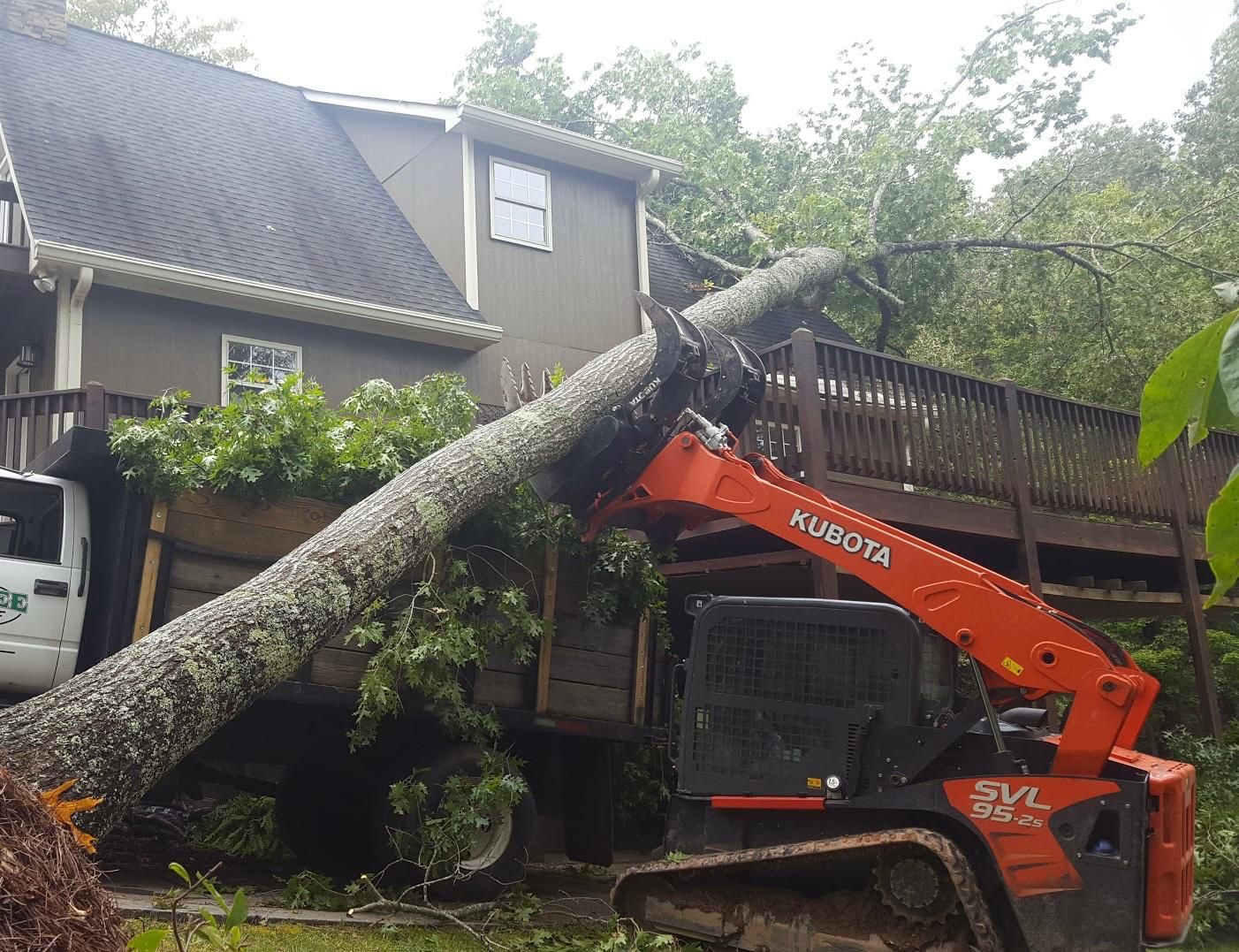 Lumberjacks Tree Emergency https://mylumberjacks.com